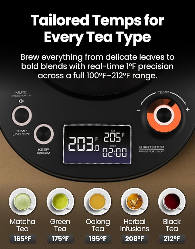 Vianté Electric Gooseneck Kettle with Precise Temperature Control. Pour Over Coffee & Tea Kettle. Boil-Dry Protection & Keep Warm Function. Stainless Steel, BPA-Free. Includes V60#2 Filters. 0.8L - Bloomnest