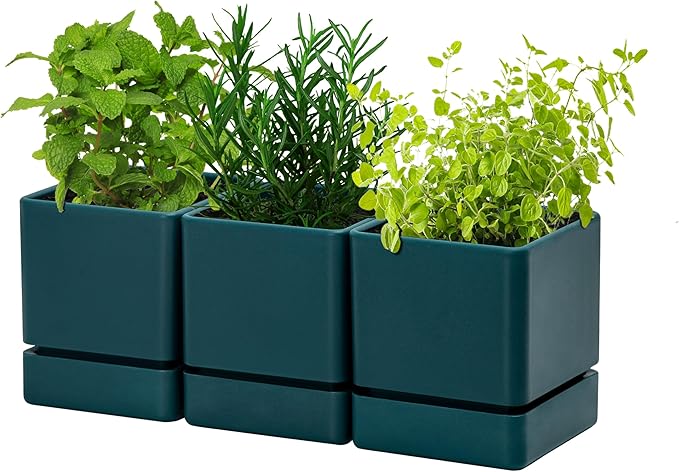 4 Inch Herb Planter Pot, Plastic Planter with Drainage Holes and Saucer, Modern Decorative Gardening Pot for Indoor Plants, Flowers, Herbs, Succulents, Green, Set of 3, 76-Y-C-3 - Bloomnest