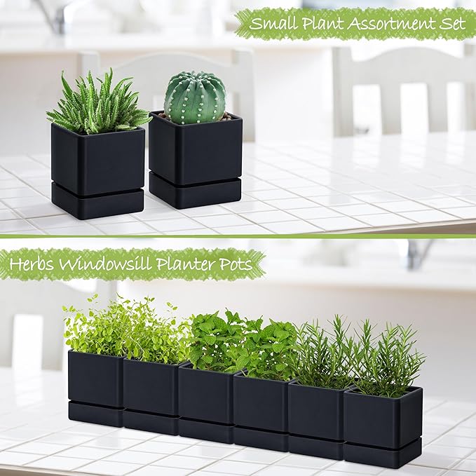 4 Inch Herb Planter Pot, Plastic Planter with Drainage Holes and Saucer, Modern Decorative Gardening Pot for Indoor Plants, Flowers, Herbs, Succulents, Black, Set of 6, 76-Y-B-6 - Bloomnest