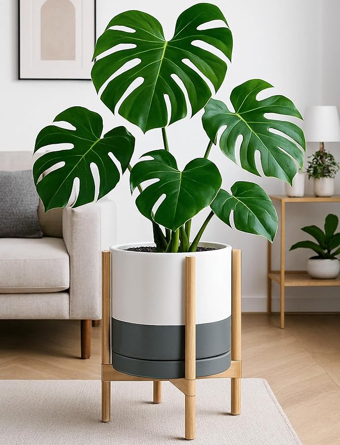 D'vine Dev Ceramic Planter with Natural Stand - 12 Inch Modern Round Flower Pot with Wood Planter Holder, White/Grey, 55-B-J-6 - Bloomnest