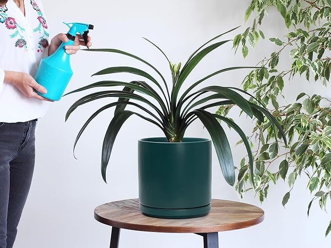D'vine Dev Set of 2 Plants Pots, 8 Inch Ceramic Planter Pot for Plants with Drainage Hole and Saucer, Teal, 94-V-D-9 - Bloomnest