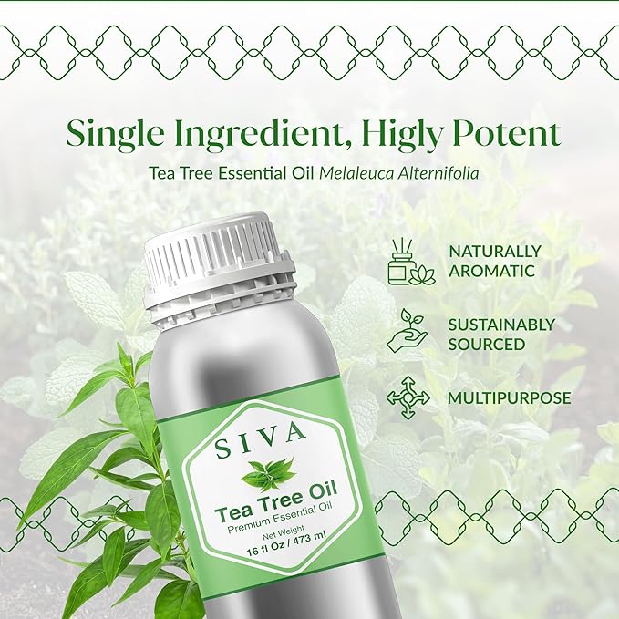 Siva Tea Tree Essential Oil - 16 Fl Oz – 100% Natural Tea Tree Oil - for Diffuser, Face, Skin Care, Aromatherapy, Hair Care, Scalp and Body Massage
