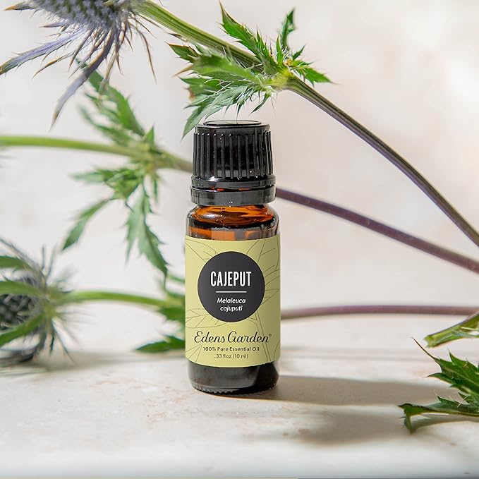 Edens Garden Cajeput Essential Oil, 100% Pure Therapeutic Grade (Undiluted Natural/Homeopathic Aromatherapy Scented Essential Oil Singles) 10 ml EdensGarden
