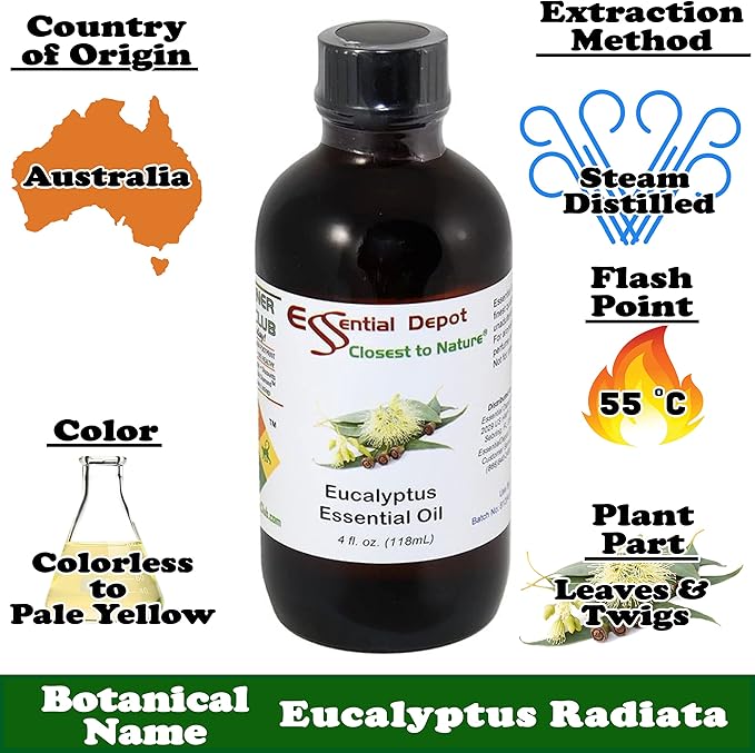 Essential Depot Eucalyptus Essential Oil - GC/MS Tested - Supplied in 4 oz. Amber Glass Bottle with Black Phenolic Cone Lined and Safety Sealed Cap ESSENTIALDEPOT