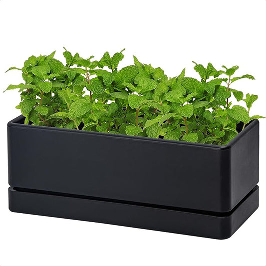 D'vine Dev 12 Inch Window Box Planter, Rectangle Plastic Herb Planter with Drainage Holes and Saucer, Indoor Succulent Cactus Vegetable Pot for Windowsill, Garden Balcony, Black, Set of 1, 76-X-B-1 - Bloomnest