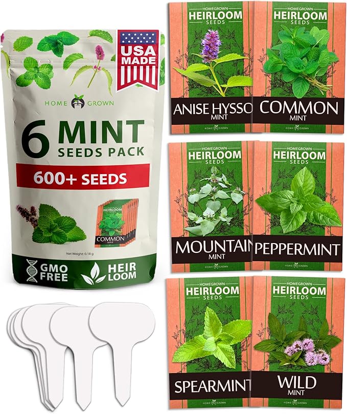 6 Mint Varieties – 600+ Heirloom Herb Seeds 𝗡𝗢𝗡-𝗚𝗠𝗢 𝗨𝗦𝗔 Peppermint, Spearmint, Mountain, Wild, Anise Hyssop, Common Mint | Indoor Outdoor Garden, Pots, Tea, Medicinal Use