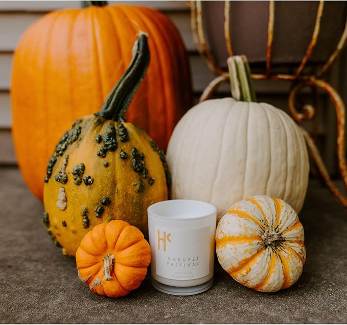 Long-Lasting Harvest Festival Fragrance - Single Wick Scented Candles - Up to 60 Hour Burn Time, Cruelty-Free Soy Candle Wax Blend - Pumpkin Fragrance, Notes of Amber & Orange (9 oz) - Bloomnest