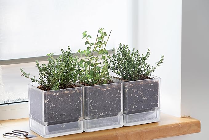 4 Inch Herb Planter Pot, Plastic Planter with Drainage Holes and Saucer, Modern Decorative Gardening Pot for Indoor Plants, Flowers, Herbs, Succulents, Clear, Set of 6, 76-Y-D-6 - Bloomnest