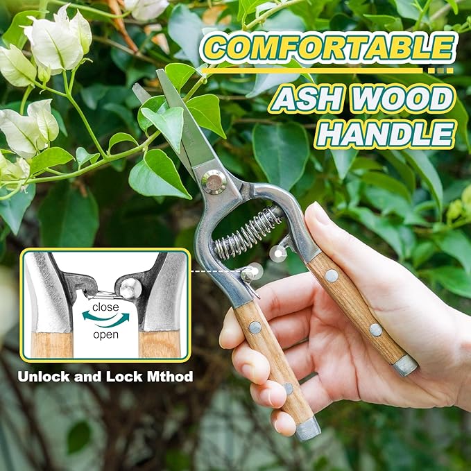 Berry&Bird Straight Pruning Shears with Stainless Steel Blades Garden Hand Pruner 8'' Scissors with Wooden Handle Clippers for Gardening Trimming Cutting Bonsai - Bloomnest