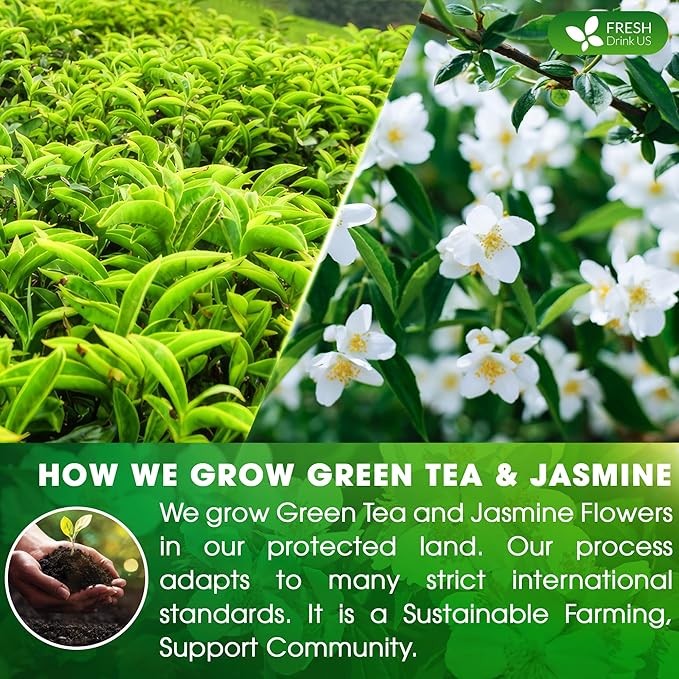 FreshDrinkUS, Premium 55 Jasmine Green Tea Bags, 100% Natural & Pure from Jasmine Green Tea. Jasmine Green Herbal Tea. Made with Natural Material Tea Bags. No Sugar, No Gluten, Vegan. - Bloomnest