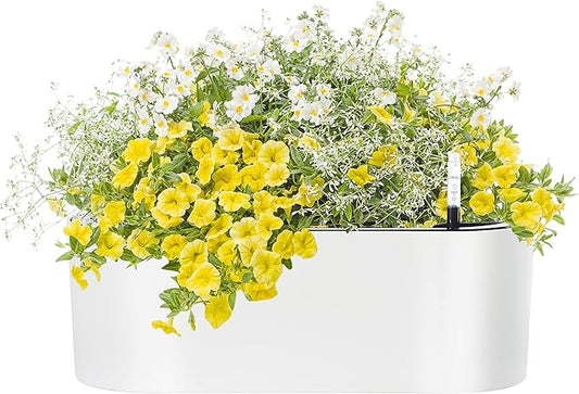 SAROSORA 16" Oval Self Watering Planter with Water Level Indicators for Plants & Flower Home Garden Outdoor Indoor Succulent | Herb pots | Window Box (1, Oval, White) - Bloomnest