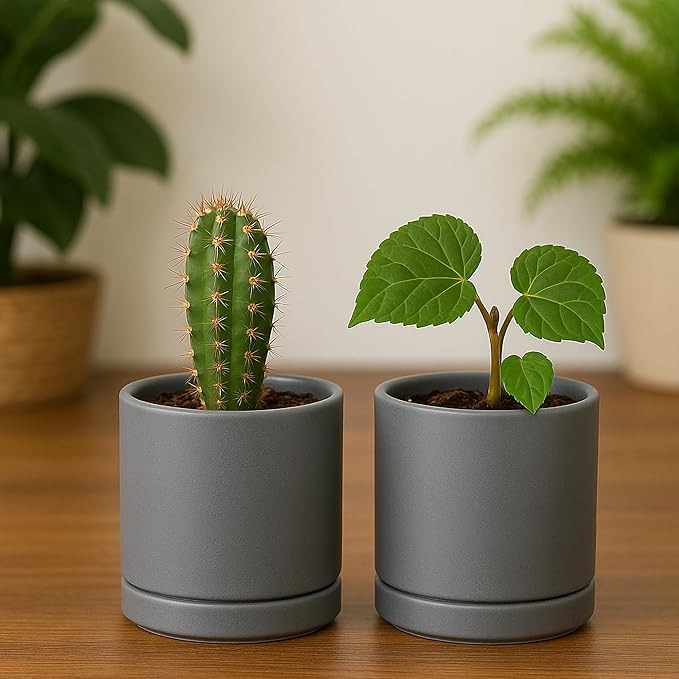 D'vine Dev Set of 2 Plants Pots, 3.5 Inch Ceramic Planter Pot for Plants with Drainage Hole and Saucer, Speckled Grey, 94-V-A-3 - Bloomnest