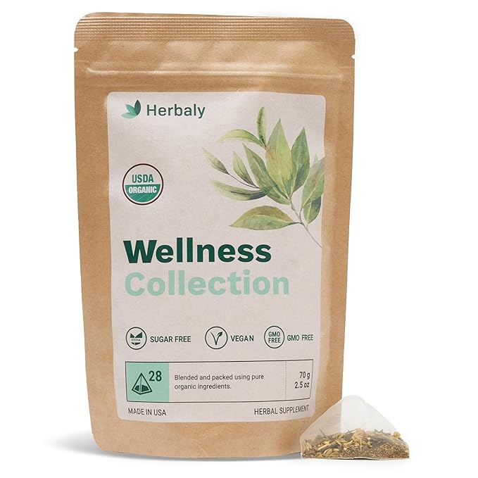 Herbaly Wellness Collection Organic Herbal Ginger Tea, 70 g, 28 Count Bag (Pack of 1) - Bloomnest