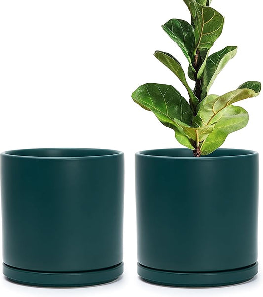 D'vine Dev Set of 2 Plants Pots, 8 Inch Ceramic Planter Pot for Plants with Drainage Hole and Saucer, Teal, 94-V-D-9 - Bloomnest