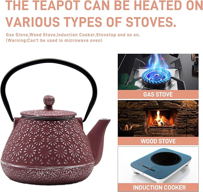 Cast Iron Teapot, 20.3oz Small, Enameled Interior, Stainless Steel Infuser for Loose Tea (Pink Gerbera Pattern) - Bloomnest
