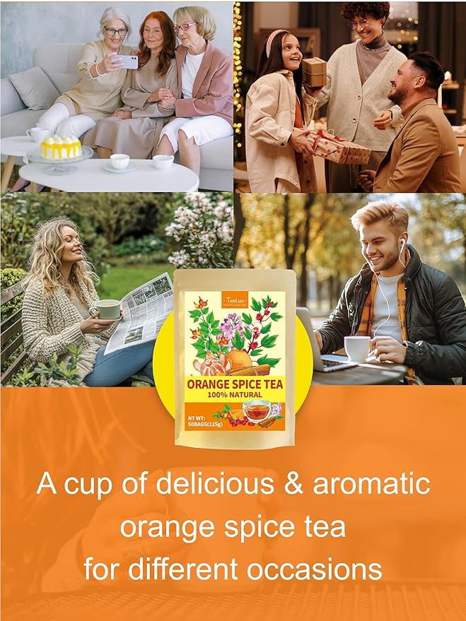 TeeLux Orange Spice Tea, Blended Rosehips with Cinnamon & Hibiscus, Refreshing & Soothing Taste, Caffeine Free, 50 Count - Bloomnest