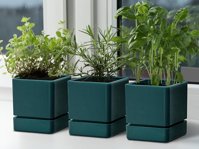 4 Inch Herb Planter Pot, Plastic Planter with Drainage Holes and Saucer, Modern Decorative Gardening Pot for Indoor Plants, Flowers, Herbs, Succulents, Green, Set of 3, 76-Y-C-3 - Bloomnest