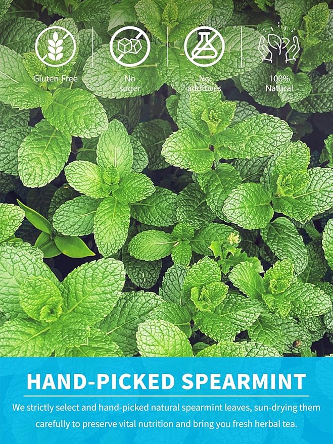TeeLux Spearmint Tea Bags, Natural Spearmint Leaf Herbal Tea, Refreshing & Smooth Mint Tea, Caffeine Free, 100 Count - Bloomnest
