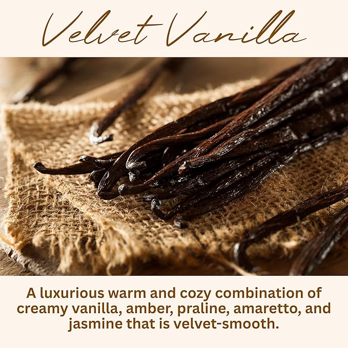 Velvet Vanilla Scented Candle, Many Scents to Choose from, All Natural Non-Toxic Soy Wax, Handmade in The USA (Velvet Vanilla) - Bloomnest