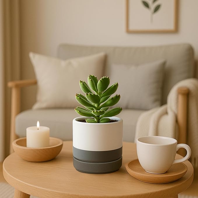 D'vine Dev Set of 2 Plants Pots, 4.7 Inch Ceramic Planter Pot for Plants with Drainage Hole and Saucer, White/Speckled Grey, 94-V-B-6 - Bloomnest