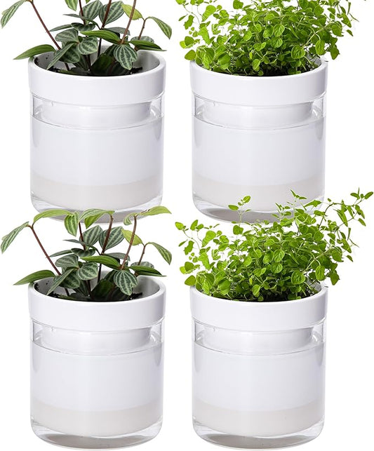 Phoenix Vine 4 Inch Self Watering Planter, White Terracotta Clay Pot with Glass Reservoir for Indoor Plants, Herbs, Flowers, Set of 4, 52-B-E-4 - Bloomnest