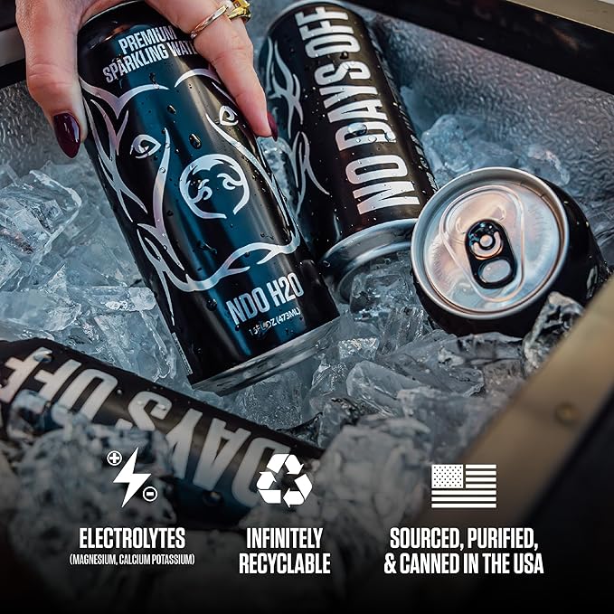 NO DAYS OFF Premium Sparkling Water - 12 Pack,16 fl oz, Unflavored - Ultra-Purified Reverse Osmosis with Gentle Carbonation, BPA-free 100% Recyclable Cans - Bloomnest