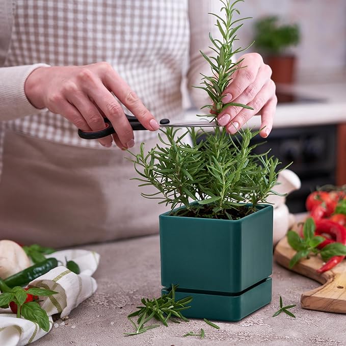 4 Inch Herb Planter Pot, Plastic Planter with Drainage Holes and Saucer, Modern Decorative Gardening Pot for Indoor Plants, Flowers, Herbs, Succulents, Green, Set of 1, 76-Y-C-1 - Bloomnest