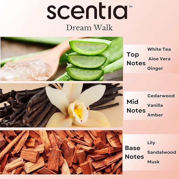 Scentia Hotel Diffuser Oil Inspired by The Hotel Scent - 20 ml 0.67 fl oz - Essential Oil Blend White Tea, Cedarwood & Amber Notes for Aromatherapy Diffusers and Humidifiers - Dream Walk - Bloomnest