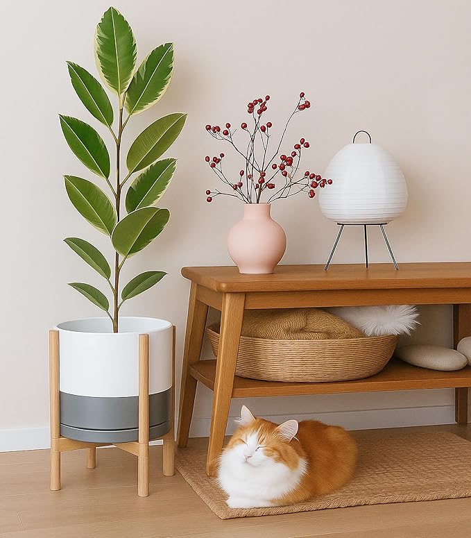 D'vine Dev Ceramic Planter with Natural Stand - 12 Inch Modern Round Flower Pot with Wood Planter Holder, White/Grey, 55-B-J-6 - Bloomnest