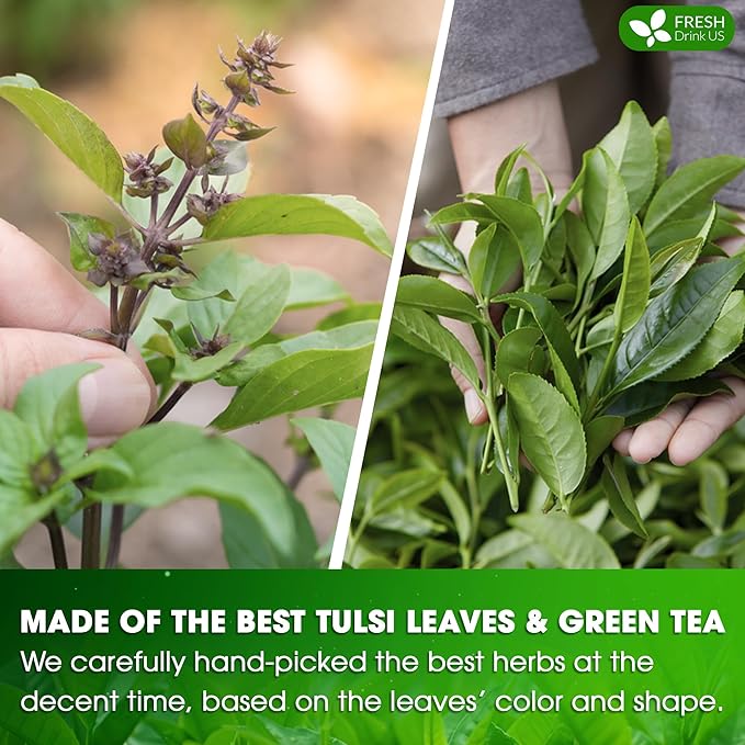 FreshDrinkUS, Premium 135 Tulsi Green Tea Bags, 100% Natural, Blend of Tulsi Holy Basil Leaves, and Green Tea Leaves. Made with Natural Material Tea Bags. No Sugar, Vegan. - Bloomnest