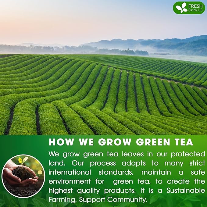 FreshDrinkUS, Premium 175 Green Tea Bags, 100% Natural & Pure from Green Tea. Green Herbal Tea. Made with Natural Material Tea Bags. No Sugar, No Gluten, Vegan - Bloomnest