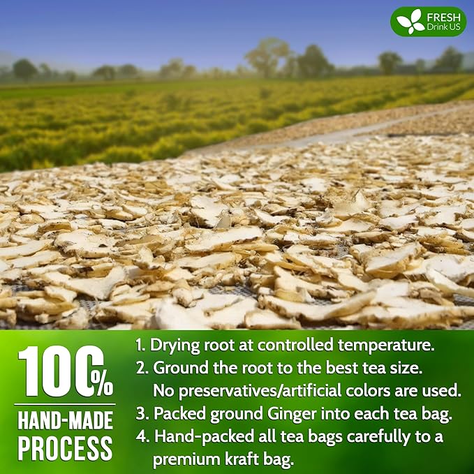 FreshDrinkUS, 150 Premium Ginger Tea Bags, Non GMO, 100% Natural & Pure from Ginger Root, Root Herbal Tea. No Sugar, No Caffeine, No Gluten, Vegan. Support Stronger Digestion, Pleasantly Spicy & Warming - Bloomnest
