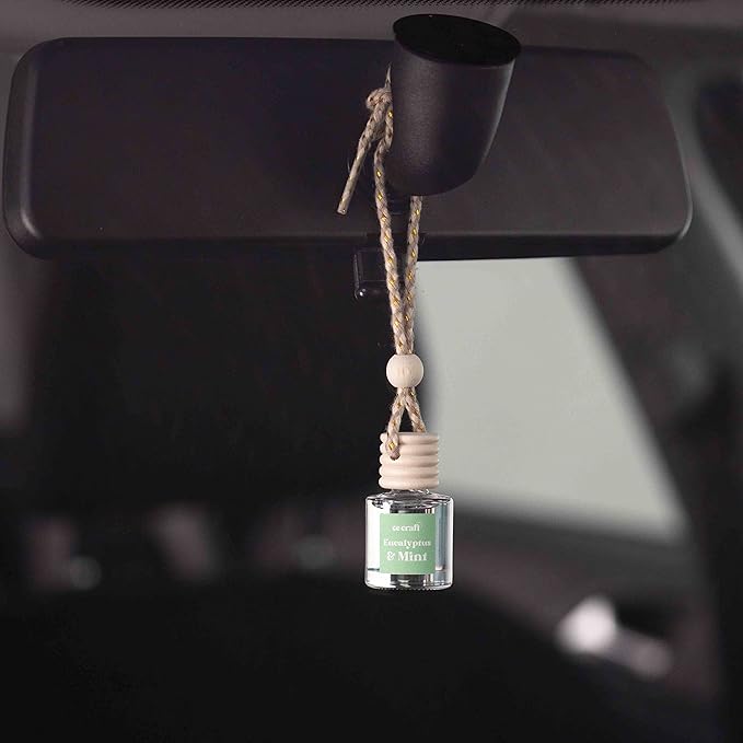 CANDECraftCo Car Air Hanging Fragrance Oil, Car Auto Freshener for Essential Oils, Scents Fragrance Aromatherapy Automobile Diffuser, Long Lasting (Smells Like Pedro Pascal) - Bloomnest