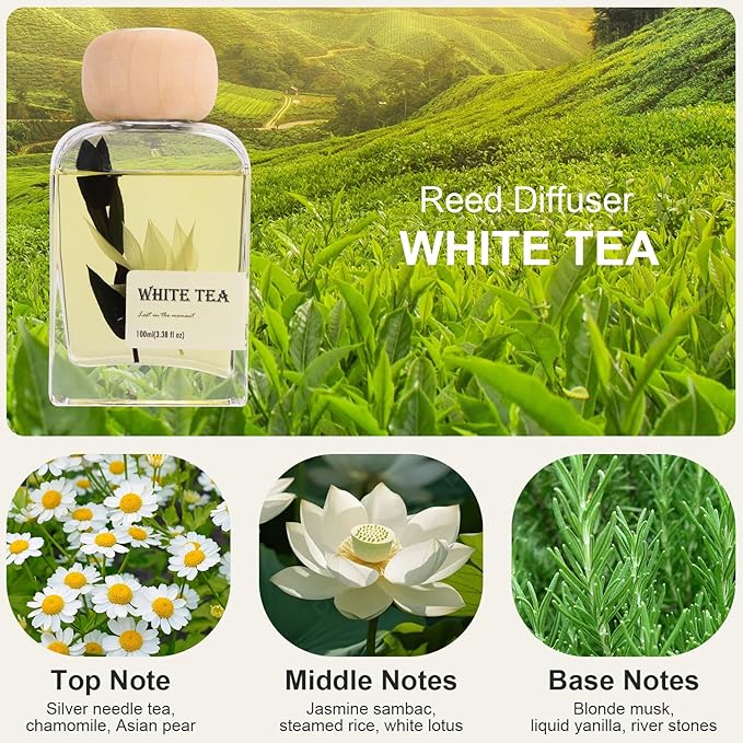 White Tea Essential Oil Reed Diffusers,Luxury Hotel Collection Diffuser Oil Inspired by Westin for Home&Office, Bedroom Living Room Shelf Decor,Bathroom Accessories,Non-Toxic & Gift Ready,3.34 FL OZ - Bloomnest