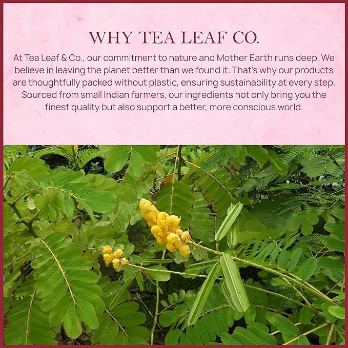 Tealeaf & Co. Senna Tea Blended with Fresh Herbs - Pure Herbal Tea Bags with Senna Leaves Extract - Flavored Herbal Blend - Low Caffeine - Gluten Free - 50 Teabags - Bloomnest