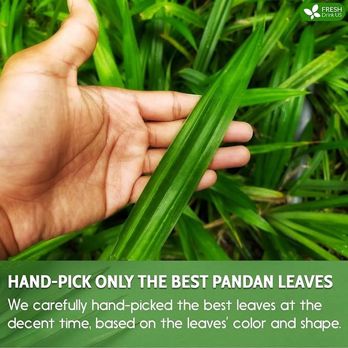 FreshDrinkUS, Premium 2oz Natural Pandan Leaves Dried, 100% Pure Dried Pandan Leaves, Pandan Leaf Tea, No Additives, No Caffeine, Vegan (2 oz Dried Leaves) - Bloomnest