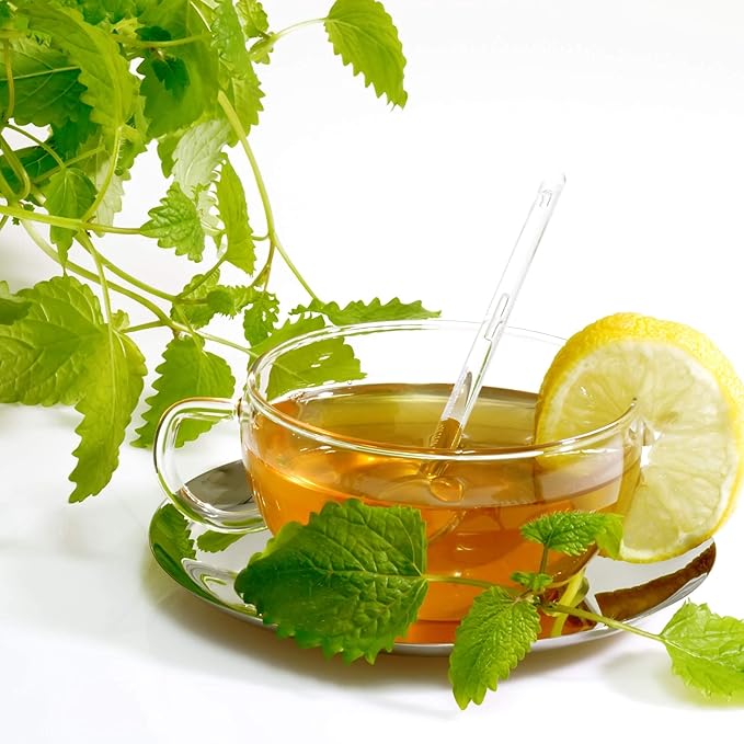 VALDENA BIO Organic Flavored Lemon Balm and Lemongrass, Pack of 3-20 Individually Wrapped Tea Bags in Each Pack - 60 Tea Bags in Total - Bloomnest