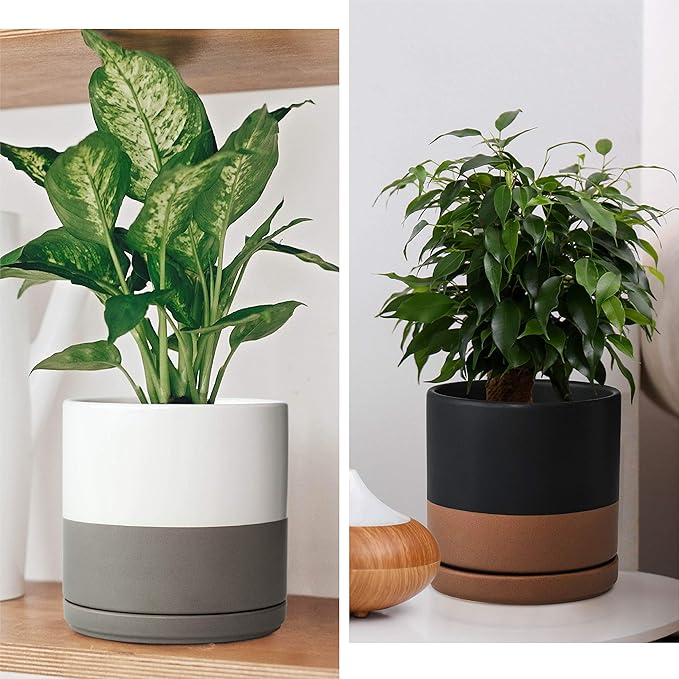 D'vine Dev Set of 2 Plants Pots, 6 Inch Ceramic Planter Pot for Plants with Drainage Hole and Saucer, White-Grey/Black-Tan, 94-V-C-C - Bloomnest
