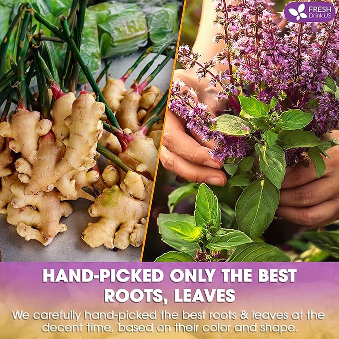 FreshDrinkUS, Premium 35 Ginger Tulsi Tea Bags, 100% Natural, Hand-made Blend of Ginger and Tulsi Holy Basil Leaves, Eco-conscious Tea Bags. Ginger Tulsi Herbal Tea. No Sugar, No Caffeine, Vegan. - Bloomnest