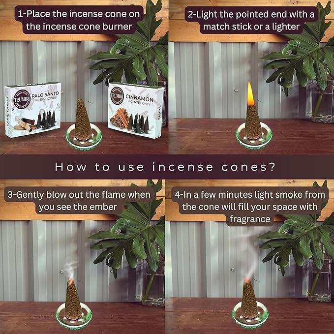 Palo Santo & Cinnamon Incense Cone Combo Pack - 10 Each TRUMIRI