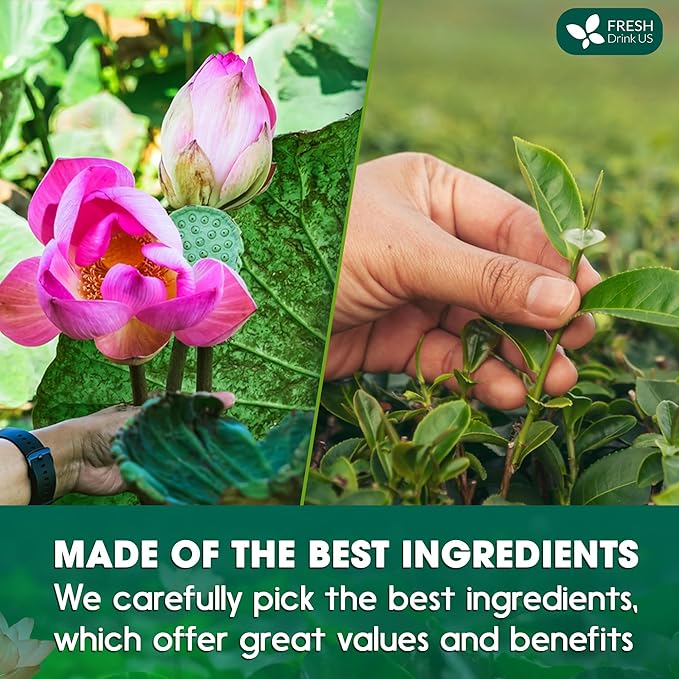 FreshDrinkUS, Premium 20 Tea Bags of Lotus Green Tea, 100% Natural. Exquisite Flavor, Handpicked Leaves, Perfect for Tea Lovers. No Sugar, No Gluten, Vegan. - Bloomnest