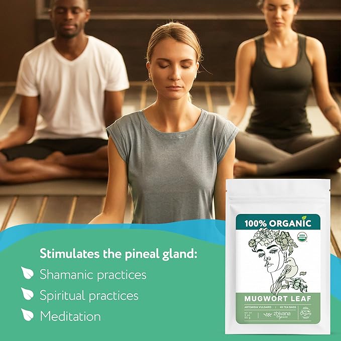 Organic Mugwort Tea Bags – Artemisia Tea for Digestive Health, Liver, Women Cycle, Relaxation – Make Herbal Infusion - 40 Teabags - Bloomnest