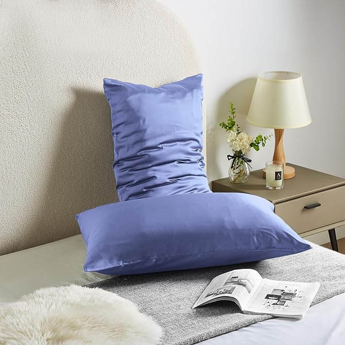 Silk Pillow Cases 2 Pack Mulberry Silk Pillowcases Soft Breathable Both Sided Natural Silk Pillowcase with Zipper Beauty Sleep Pillow Cases for Gift(King,Cornflower Blue) - Bloomnest