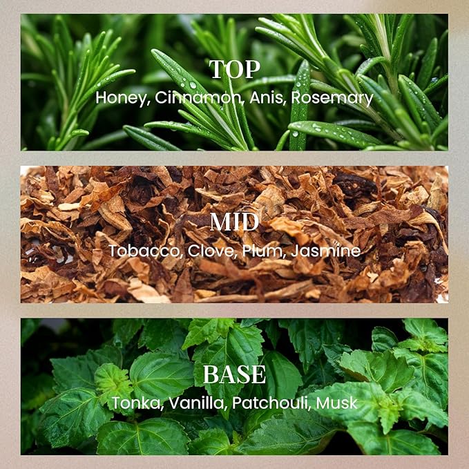M&SENSE Tobacco Vanilla Candles for Home Scented, 2 Wick 12.7oz Soy Wax Candles Non Toxic,70 Hours Long Burning,Luxury Candles Gift for Stress Relief, Meditation, Yoga - Bloomnest