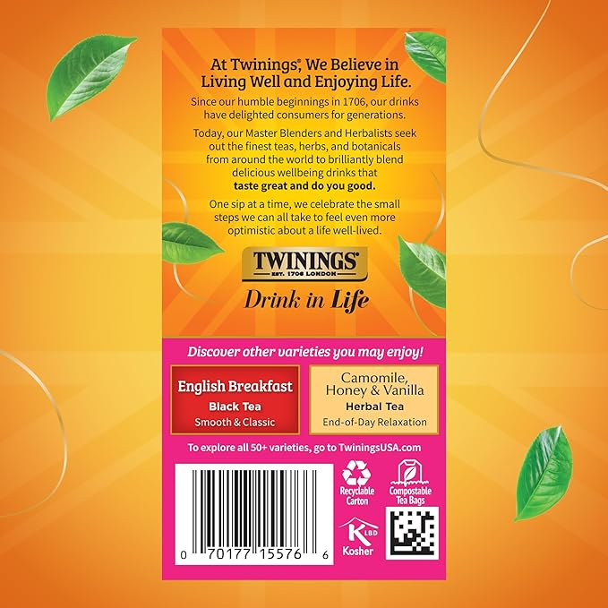 Twinings English Afternoon Black Tea Individually Wrapped Bags, 20 Count (Pack of 6), Smooth & Slightly Sweet, Caffeinated, Enjoy Hot or Iced, 120 Teabags - Bloomnest