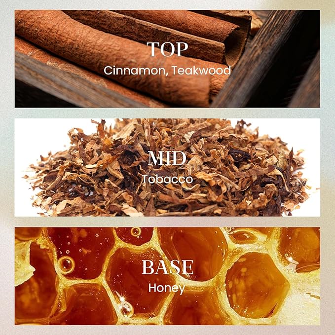 M&SENSE 10.14 oz Large Reed Diffuser Set | Tobacco Teakwood Scent Oil Diffuser with Sticks | Hotel Collection Non-Toxic Essential Oil |for Bedroom Bathroom Living Room - Bloomnest