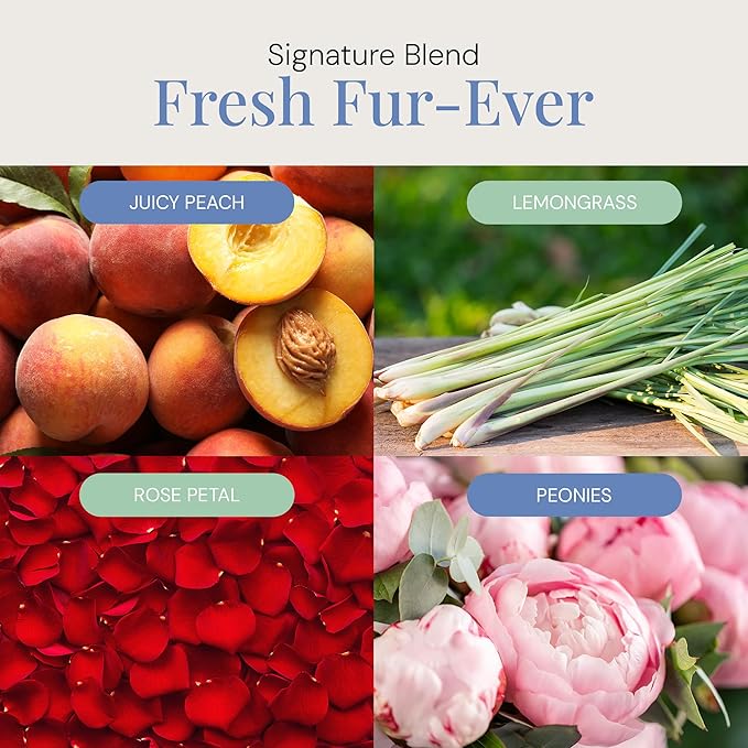 Air Esscentials Fresh Fur-Ever Aroma Oil - Pet-Preferred Pure Essential Oil for Scent Machines & Cold-Air Diffusers | Juicy Peach & Lemongrass | Floral Harmony | Soothing Sandalwood Finish | 300mL - Bloomnest