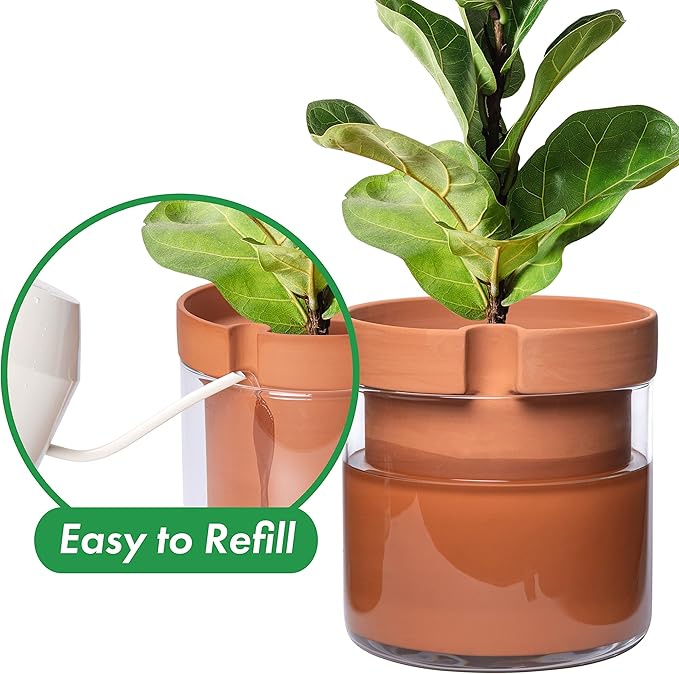 Phoenix Vine 10 Inch Self Watering Planter Pot, Terracotta Clay Pot with Glass Reservoir for Indoor Plants, Herbs, Flowers, Set of 1, 52-A-I-1 - Bloomnest