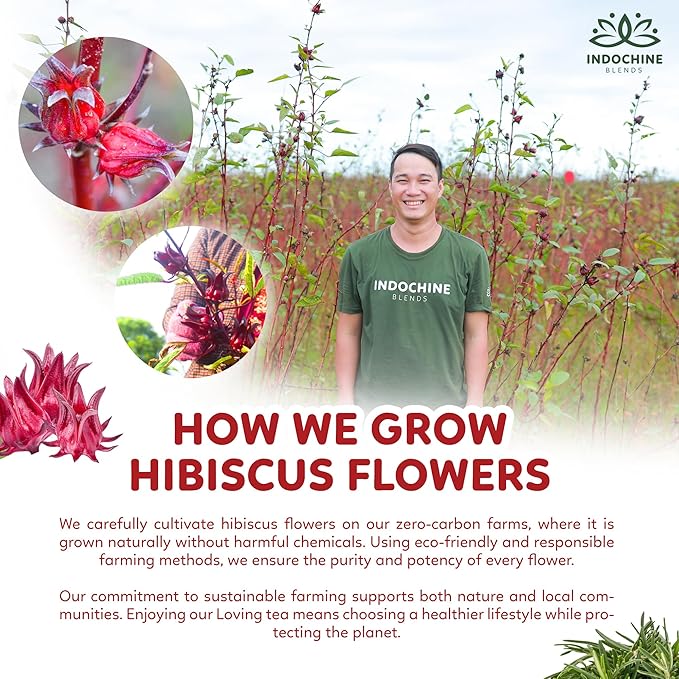 Indochine Blends Loving Tea | Hibiscus Tea Bags | Hibiscus & Organic Rosemary, Black Tea, Rose | Sugar-Free, Caffeine-Free Herbal Tea for Relaxation | 4.4 oz | 50 Corn-Fiber Pyramid Bags - Bloomnest