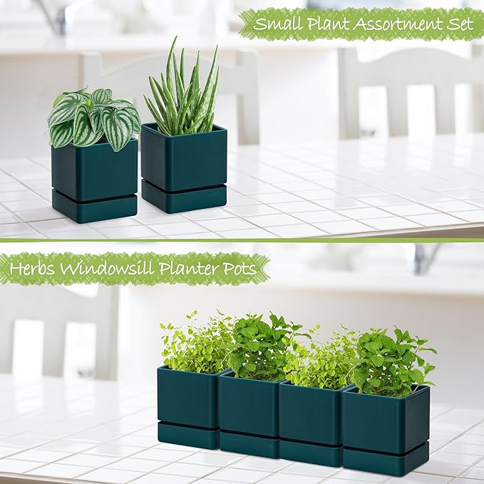 4 Inch Herb Planter Pot, Plastic Planter with Drainage Holes and Saucer, Modern Decorative Gardening Pot for Indoor Plants, Flowers, Herbs, Succulents, Green, Set of 4, 76-Y-C-4 - Bloomnest